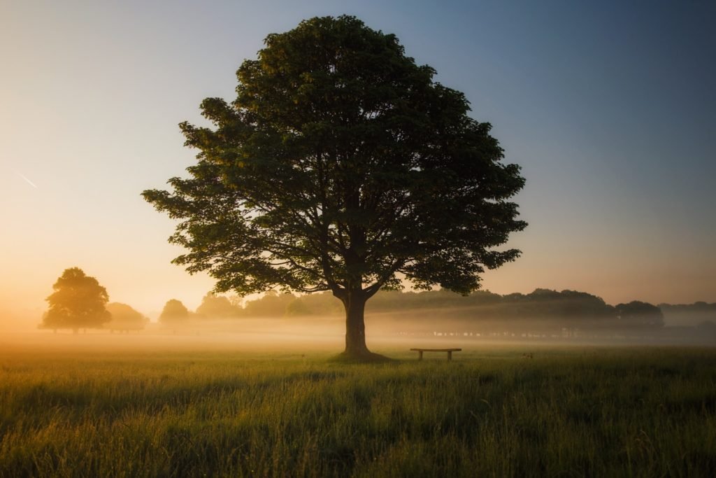 Guided meditation for beginners